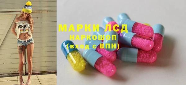 прущие грибы Абинск