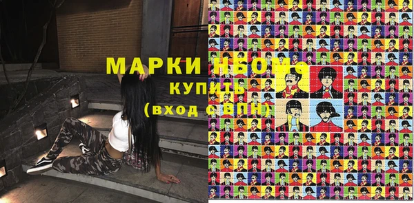 прущие грибы Абинск