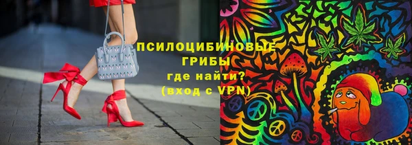 сатива Алзамай