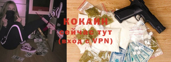 прущие грибы Абинск