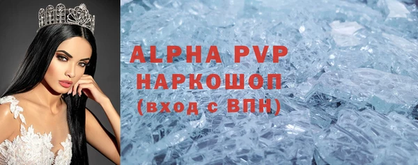 прущие грибы Абинск
