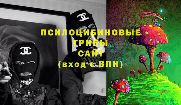 прущие грибы Абинск