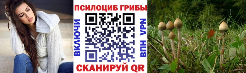 Галлюциногенные грибы Magic Shrooms  Шумерля 