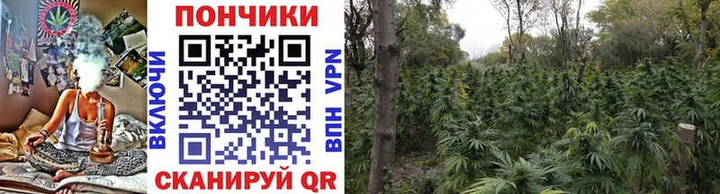 Бошки марихуана THC 21% ОМГ ОМГ вход Шумерля